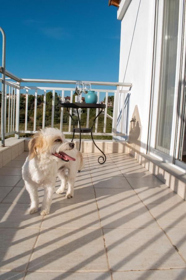 Daire Kalliani House Kiki *