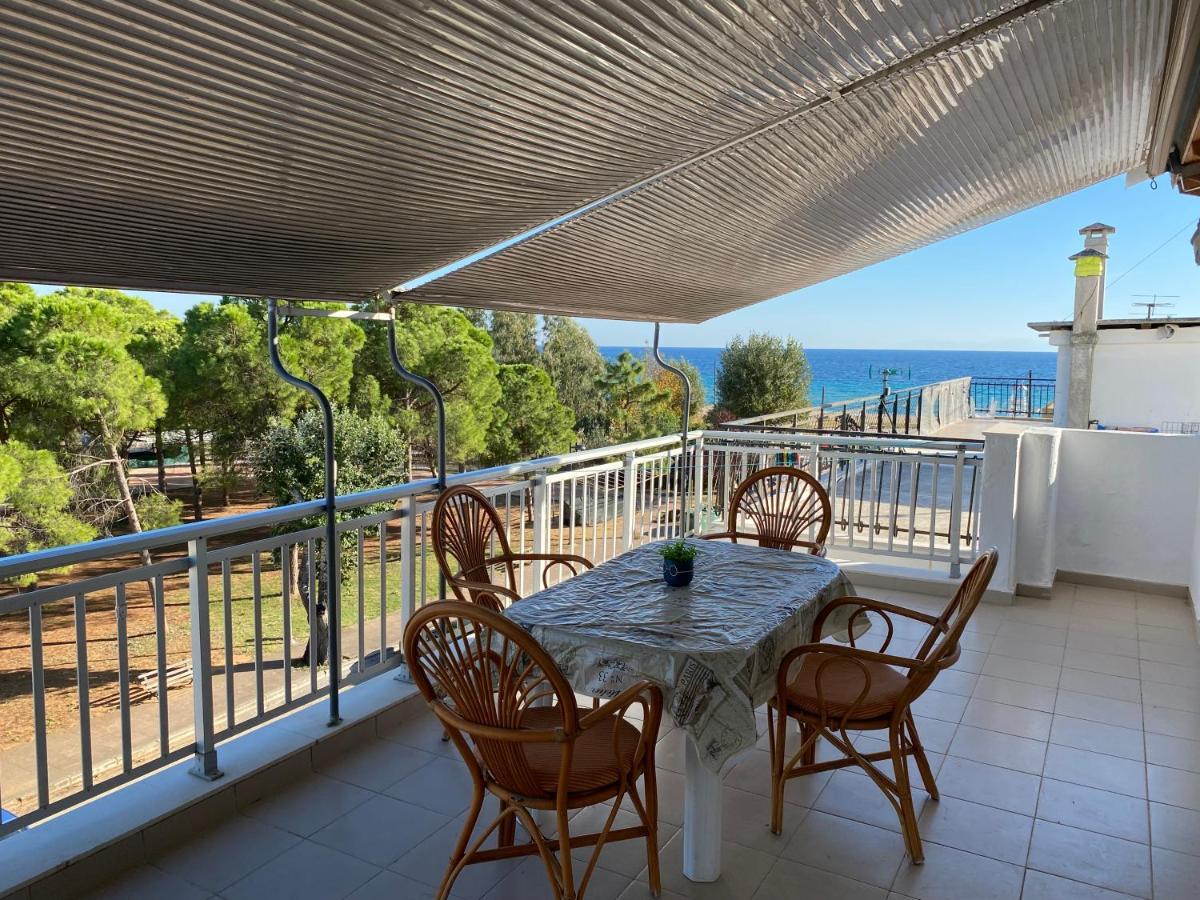 Daire Kalliani House Kiki